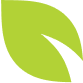 Vector